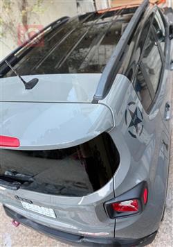 جيب رينيجيد